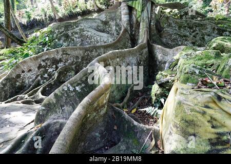 Gianyar, Bali Island, Indonesien. Mai 2019. Goa Gajah, die berühmte Touristenattraktion, ist eine bedeutende hinduistische archäologische Stätte. Stockfoto