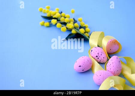 Silberwattle, pinkfarbene Wachteleier, gelbes Band, osterzusammensetzung, Grußkartendesign, Einladung. Platz für Text. Stockfoto