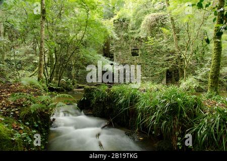 Kennall Vale Gunpowder Works, Ponsanooth, Cornwall, Großbritannien Stockfoto