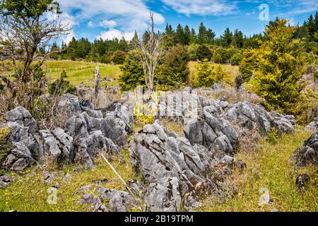 Marmorfelsen an der Canaan Road, abseits des Abel Tasman National Park, Tasman District, South Island, Neuseeland Stockfoto