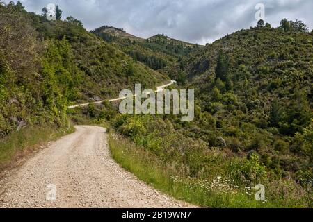 Canaan Road in der Gegend um Takaka Hill, die zum Canaan Downs Camping im Abel Tasman National Park, Tasman District, South Island, Neuseeland führt Stockfoto