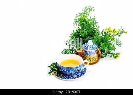 Rue Infusion ( Ruta Graveolens ). Tasse, Teekanne und rue-Anlage auf weißem Hintergrund Stockfoto