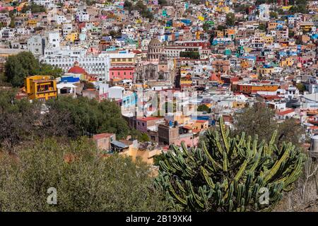 Das historische Zentrum von Guanajuato City. Farbenfrohe Wohnungen in Hanglage. Guanajuato State, Mexiko. Stockfoto