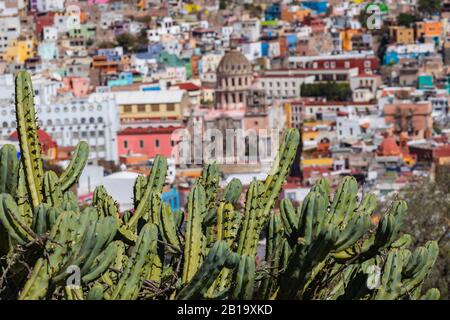 Das historische Zentrum von Guanajuato City. Farbenfrohe Wohnungen in Hanglage. Guanajuato State, Mexiko. Stockfoto