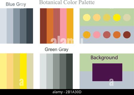 Vektorgrafiken der Farbtrendpalette. Set Samples Farbdesign für Innenraumideen, Mode, Stoffe und mehr Themen Designkunst Stock Vektor