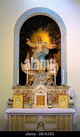 Der Marien-Altaraufsatz in Der Cardinal Newman University Church Dublin Stockfoto