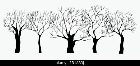 Schwarze, handgezeichnete Silhouettenbäume. Satz Vektorgrafiken. Alter dunkelschwarzer und weißer Garten Stock Vektor