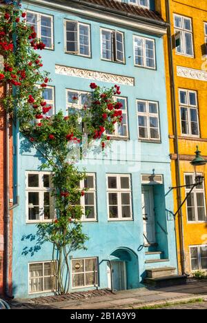 Farbenfrohes Gebäude in Kopenhagen mit Roses im Vorderteil Stockfoto