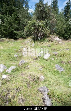 Zeichen präinkanischer Kulturen in Tambo Blanco (Ciudadela), San Lucas, Saraguro, Provinz Loja, Ecuador Stockfoto