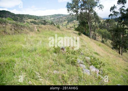 Anzeichen für präincanische Kulturen auf dem Hügel namens Leon Dormido oder Sleeping Lion direkt außerhalb von Saraguro, Provinz Loja, Ecuador Stockfoto