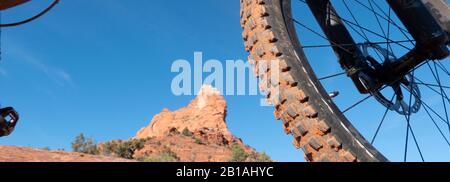 Schlammiger Mountainbike-Reifen Stockfoto