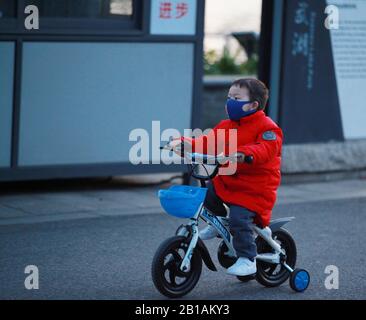 Jiangsu, CHINA - Am 20. Februar 2020 kamen einige Einwohner in Nanjing, Provinz Jiangsu, in den Seepark Xuanwu, um der Natur nahe zu kommen und die schöne Frühlingslandschaft zu genießen. (NUR REDAKTIONELLE VERWENDUNG. China OUT) (Foto von /Sipa USA) Stockfoto