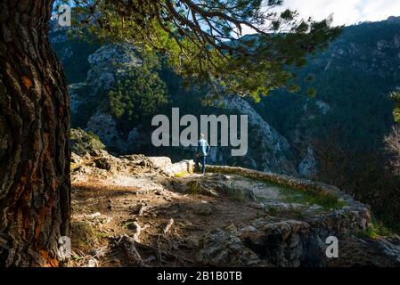 Parque Natural de las Sierras de Tejeda, Almijara y Alhama, Alcaucín, Axarquía Costa del Sol, Málaga, Andalusien, Spanien, Europa Stockfoto