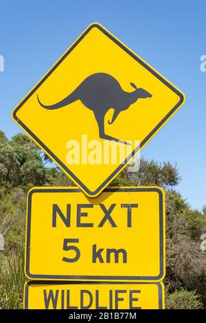 Schild "Känguru Road" im Great Otway National Park, Barwon South West Region, Victoria, Australien Stockfoto