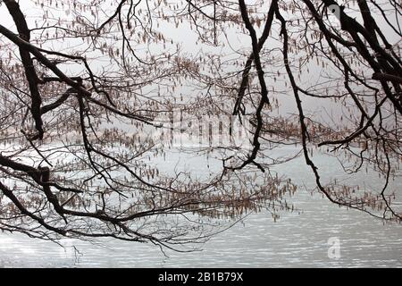 Ein wunderschönes Bild vom Ghirla-See, Lago di Ghirla, Varese, Italien Stockfoto