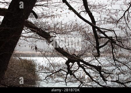 Ein wunderschönes Bild vom Ghirla-See, Lago di Ghirla, Varese, Italien Stockfoto