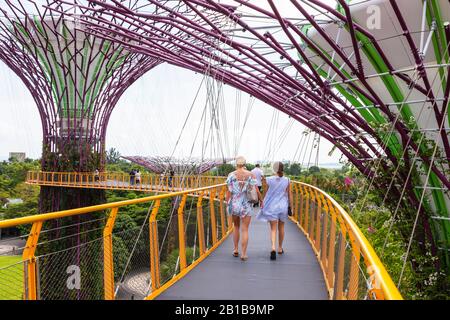 Touristen, die auf der Luftbrücke zwischen zwei der Supertree Strukturen in den Gärten an der Bucht, Singapur, Asien, laufen Stockfoto