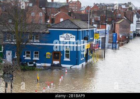 Shrewsbury, Großbritannien. Februar 2020. Die Salopian Bar ist umgeben von Hochwasserwasser vom Fluss Severn. Kredit: Mike Hayward/Alamy Live News Stockfoto