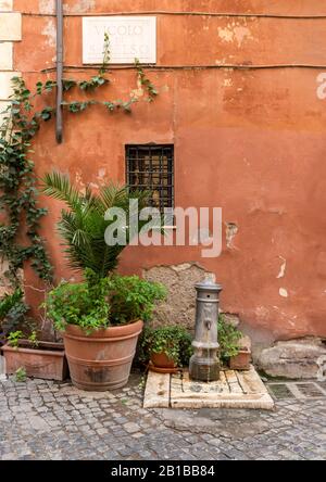 Blumentopf und Straßenwasserpumpe (Trinkbrunnen), Rom, Italien Stockfoto