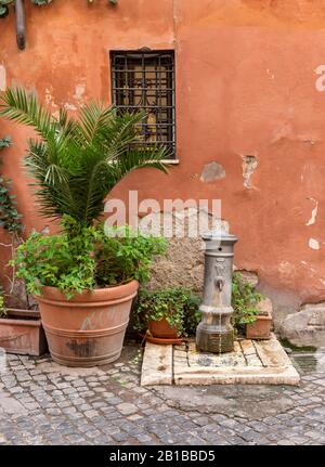 Blumentopf und Straßenwasserpumpe (Trinkbrunnen), Rom, Italien Stockfoto