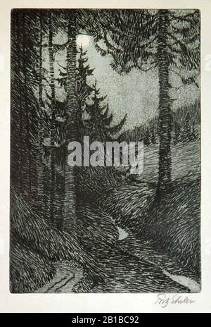 Fritz Erler Waldinneres. Stockfoto