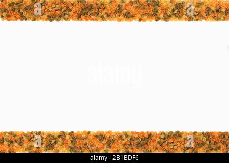 Draufsicht über die Ober- und Unterlinie aus verschiedenen Nudeln mit dazwischen leerem Raum. Designkonzept. Stockfoto