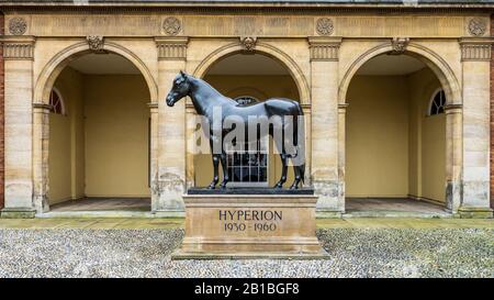 Jockey Club Newmarket-Fassade des Jockey Club Zimmer in Newmarket Suffolk mit einer Statue von Hyperion, einem berühmten Newmarket Horse. Stockfoto