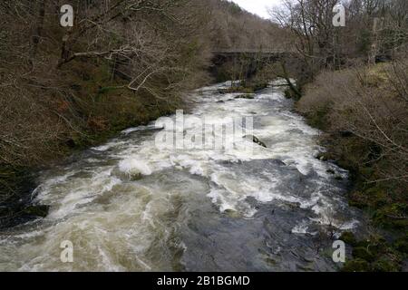 Der Ogwen River, Nordwales, hat seine Hauptquelle im Lake Ogwen in Snowdonia, aber hier passiert in Spate ein bewaldetes Tal in seinem Unterlauf. Stockfoto