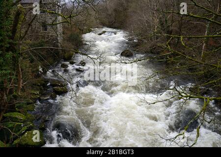 Der Ogwen River, Nordwales, hat seine Hauptquelle im Lake Ogwen in Snowdonia, aber hier passiert in Spate ein bewaldetes Tal in seinem Unterlauf. Stockfoto