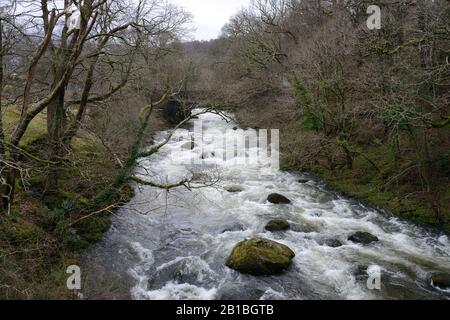 Der Ogwen River, Nordwales, hat seine Hauptquelle im Lake Ogwen in Snowdonia, aber hier passiert in Spate ein bewaldetes Tal in seinem Unterlauf. Stockfoto