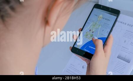 Frau mit Smartphone mit Augmented Reality App: 3D-Modell des menschlichen Körpersystems Stockfoto