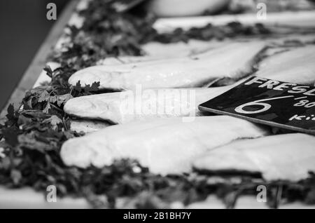 Frische Mischung Meeresfrüchte innerhalb des Fischmarktes - Krake, Muscheln, Austern, Garnelen, Calamari, Fisch Stockfoto