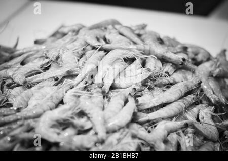 Frische Mischung Meeresfrüchte innerhalb des Fischmarktes - Krake, Muscheln, Austern, Garnelen, Calamari, Fisch Stockfoto