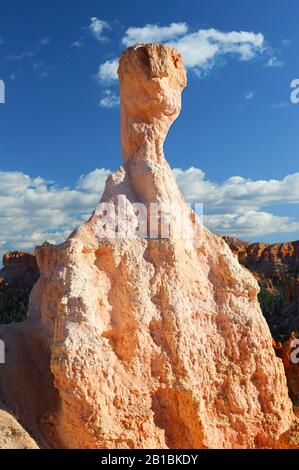 Ein Hoodoo (erodierte Säule aus Sandstein) gegen einen tiefen blauen Himmel im Bryce Canyon National Park, Utah, USA. Stockfoto