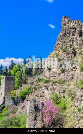 Die alte Festung Narikala. Ansicht von der Seite des Nationalen Botanischen Garten. Georgien. Tbilissi. Stockfoto