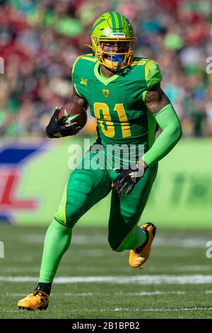 Tampa, Florida, USA. Februar 2020. Wide Receiver DAN WILLIAMS (81) der Tampa Bay Vipers läuft mit dem Ball während des XFL Tampa Bay Vipers vs Houston Roughnecks Spiels im Raymond James Stadium in Tampa, Fl am 22. Februar 2020. Kredit: Cory Knowlton/ZUMA Wire/Alamy Live News Stockfoto