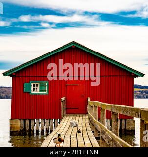 Rotes Bootshaus und Brücke mit Enten Stockfoto