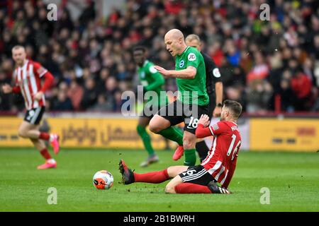 Februar 2020, Bramall Lane, Sheffield, England; Premier League, Sheffield United gegen Brighton und Hove Albion: Stockfoto