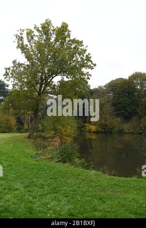 Keele Hall Grounds, Staffordshire, England Stockfoto