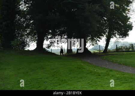 Keele Hall Grounds, Staffordshire, England Stockfoto