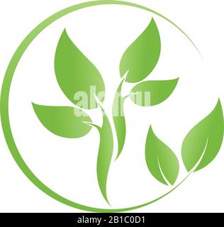 Blätter, Pflanzen, Wellness, Heilpraktiker, logo Stock Vektor