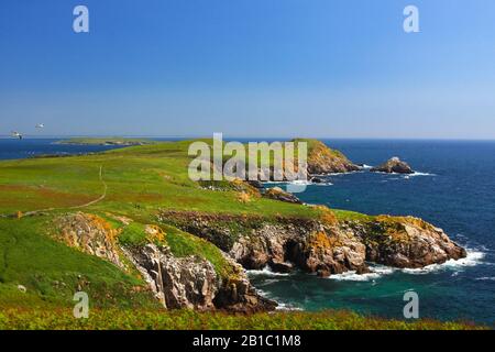 Küstenlinie in Irland mit lebendem grünen Gras, steilen Flechten bedeckten Felsklippen, die auf den blaugrünen Nordatlantikmeer treffen. Saltee Islands, Irland Stockfoto