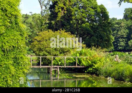 Alte Holzbrücke über den kleinen Fluss mit üppiger Vegetation, die an den Ufern wächst, in einer englischen Landschaft an einem sonnigen Sommertag. Stockfoto