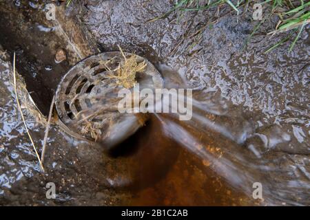 Schmutzwasser von einem Hof, der nach einem Sturm einen Abfluss abführt. North Yorkshire, Großbritannien. Stockfoto