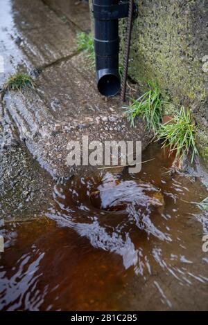 Schmutzwasser von einem Hof, der nach einem Sturm einen Abfluss abführt. North Yorkshire, Großbritannien. Stockfoto