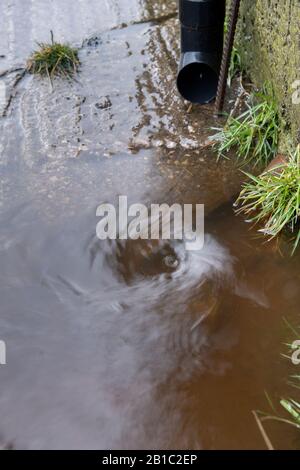 Schmutzwasser von einem Hof, der nach einem Sturm einen Abfluss abführt. North Yorkshire, Großbritannien. Stockfoto