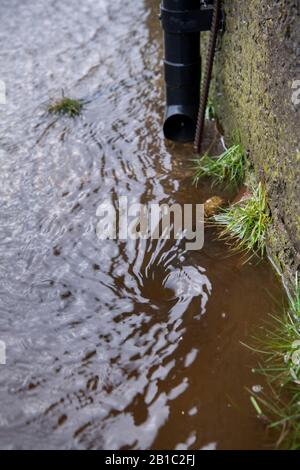 Schmutzwasser von einem Hof, der nach einem Sturm einen Abfluss abführt. North Yorkshire, Großbritannien. Stockfoto