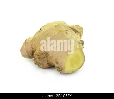 Rohe Ingwerwurzel . Rohe Ingwerwurzel isoliert auf weißem Hintergrund. Ingwerwurzel entstand als Bodenflora tropischer Tieflandwälder. Stockfoto