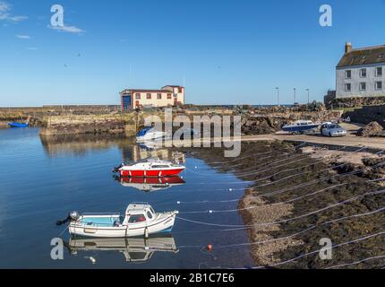 Boote, die in St Abbs Harbour, einem kleinen Fischerdorf in der Nähe von Coldingham in Berwickshire, Schottland, gefesselt sind Stockfoto