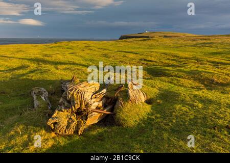 Duncansby Head von der Ness of Duncansby, östlich von John o'Groats, Caithness, Schottland, Großbritannien. Stockfoto